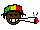 rasta